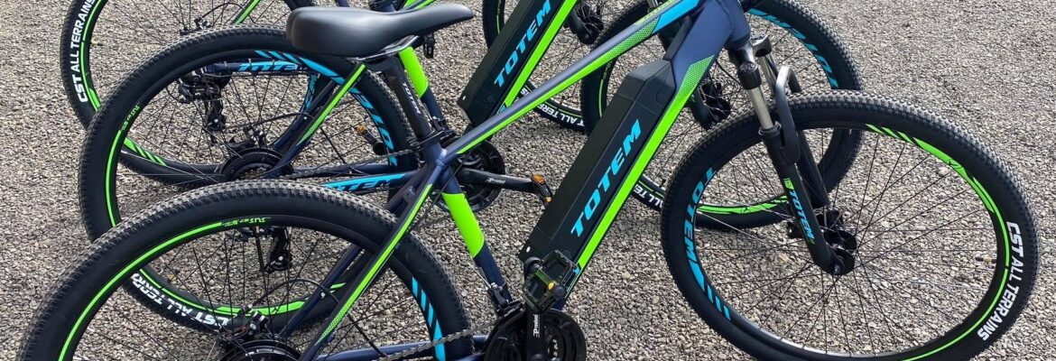 EIMEO Bike – VAE