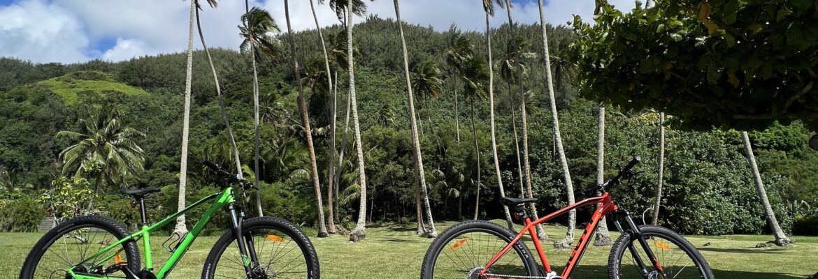 Moorea Bike Rental 