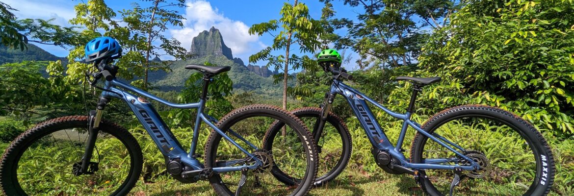 Tere Moorea Bike