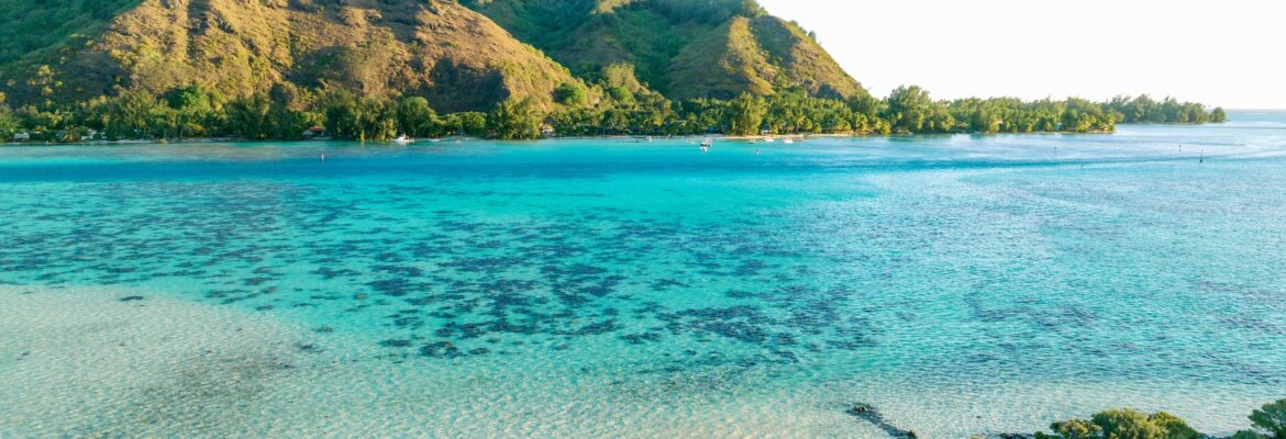 WedOtahiti