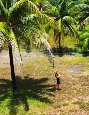 Résidence Apaura – Moorea