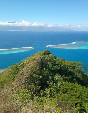 Moorea Eco Adventure 