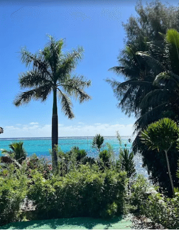 MOZ CAFE – Moorea