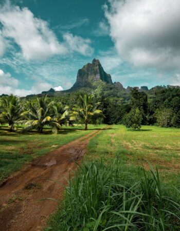Taravana Tours