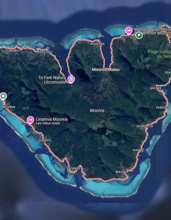 Te Aroha Moorea Guesthouse – Authentic Accommodation in the Heart of Polynesian Nature
