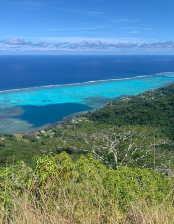 TEARAITUA TRANSPORT – Transfers & Island Tours in Moorea