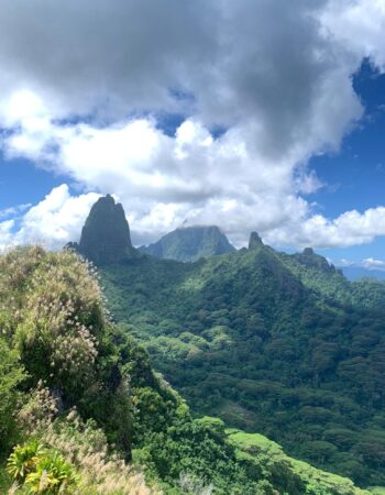 TEARAITUA TRANSPORT – Transfers & Island Tours in Moorea