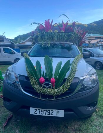 TEARAITUA TRANSPORT – Transfers & Island Tours in Moorea
