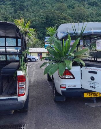 TEARAITUA TRANSPORT – Transfers & Island Tours in Moorea
