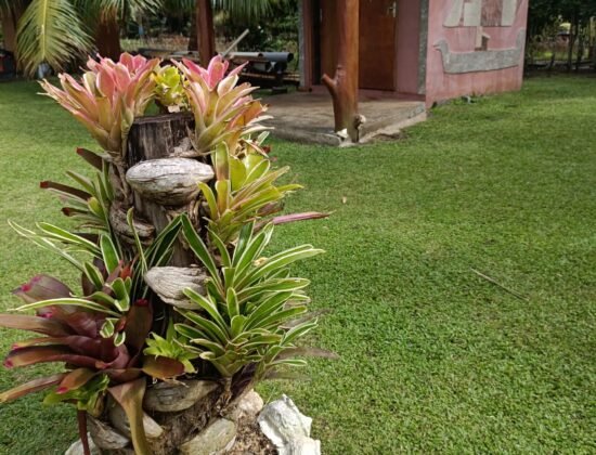 Fenua-Aihere Tautira Lodge