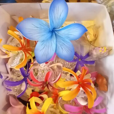 Mataha’Art – Papeete Market